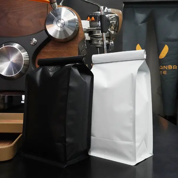 500黒と白のプラスチック製のT型タイ付きGストックBGA